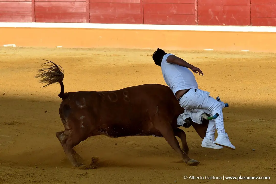 Suelta de vaquillas en Tudela d&iacute;a 27 2025 3