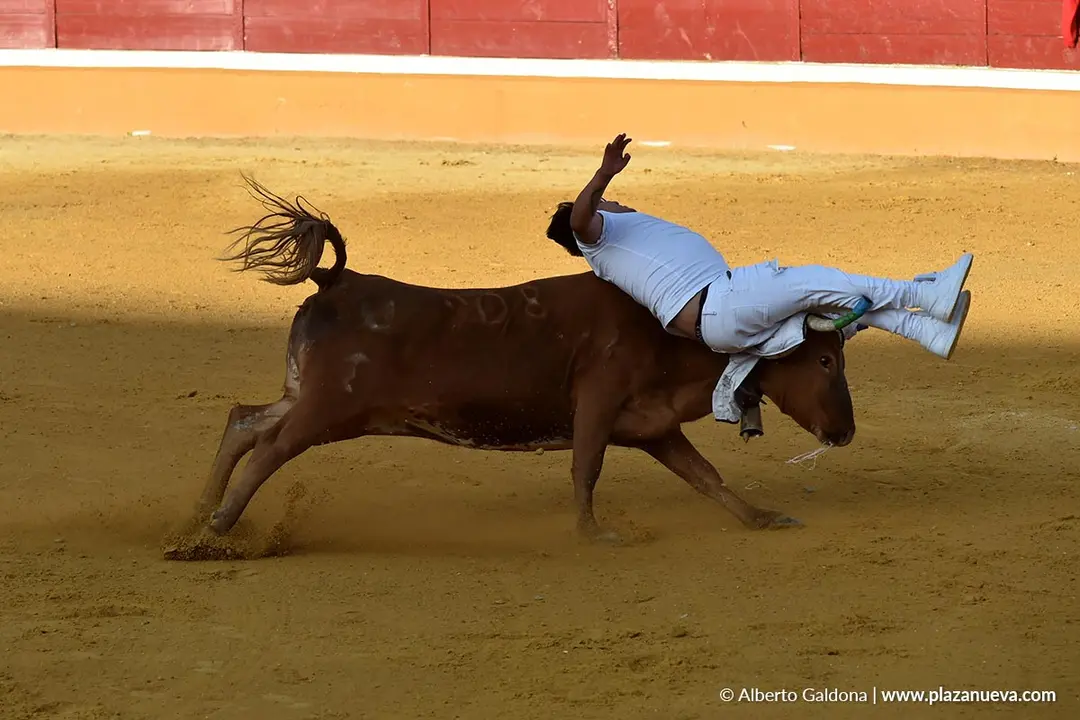 Suelta de vaquillas en Tudela d&iacute;a 27 2025 4