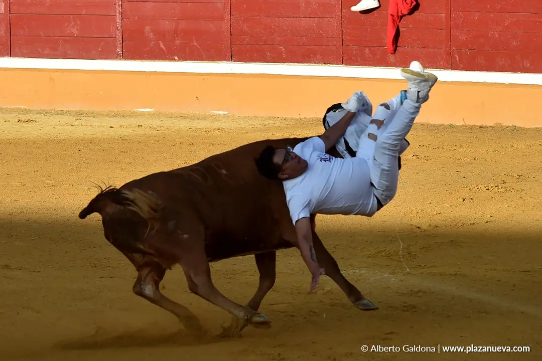 Suelta de vaquillas en Tudela d&iacute;a 27 2025 6