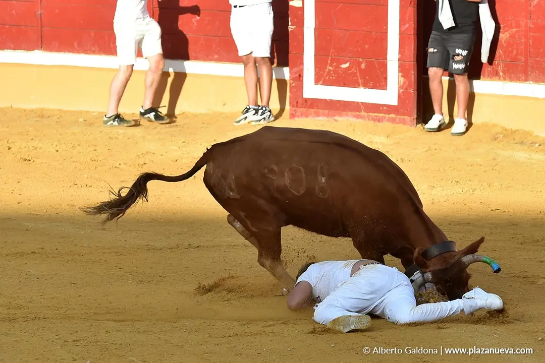 Suelta de vaquillas en Tudela d&iacute;a 27 2025 7