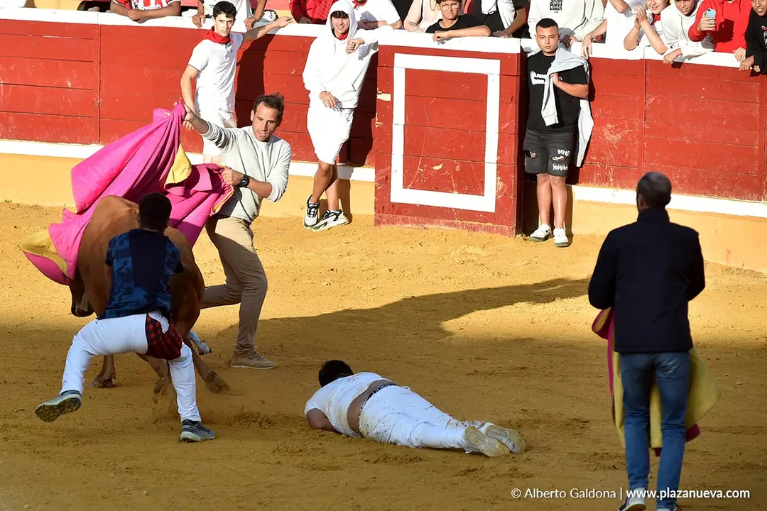 Suelta de vaquillas en Tudela d&iacute;a 27 2025 8