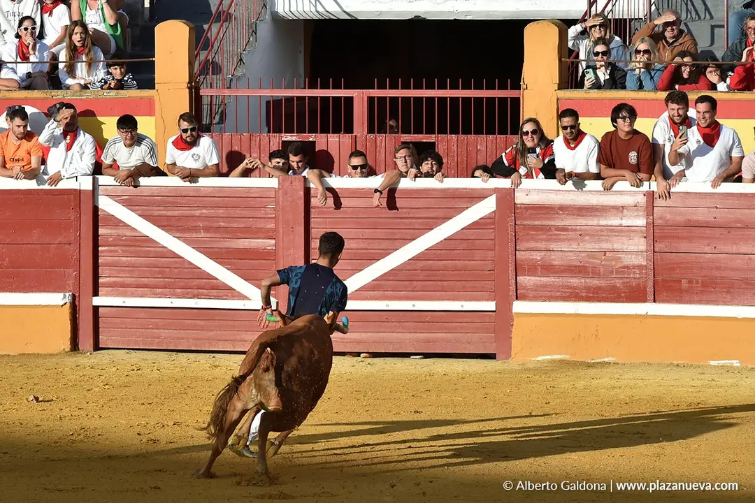 Suelta de vaquillas en Tudela d&iacute;a 27 2025 9