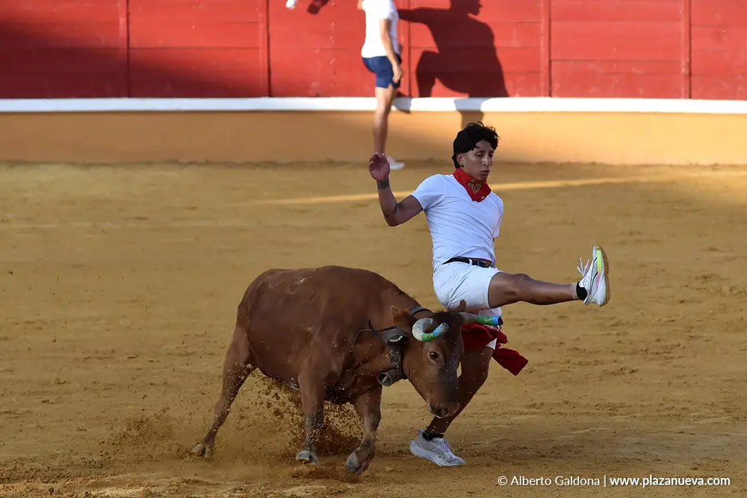 Suelta de vaquillas en Tudela d&iacute;a 27 2025 11