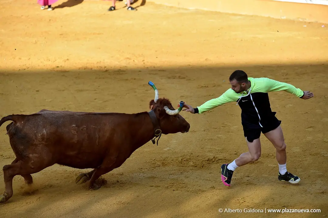 Suelta de vaquillas en Tudela d&iacute;a 27 2025 13