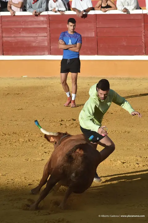 Suelta de vaquillas en Tudela d&iacute;a 27 2025 14