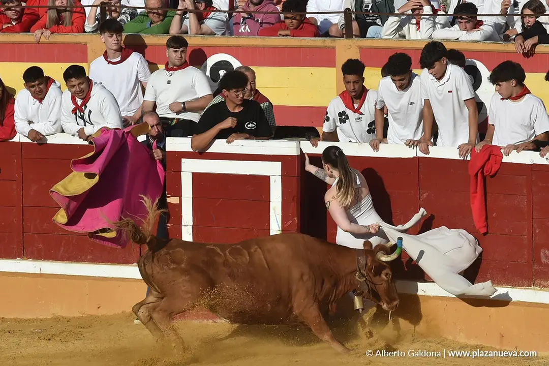 Suelta de vaquillas en Tudela d&iacute;a 27 2025 15