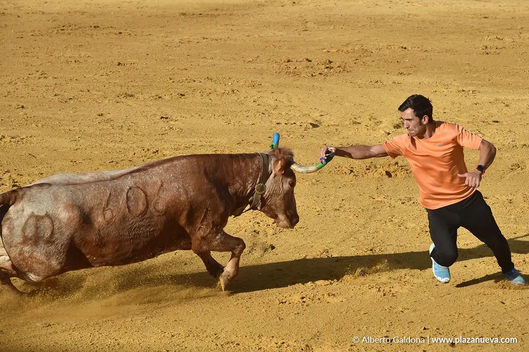 Suelta de vaquillas en Tudela d&iacute;a 27 2025 16