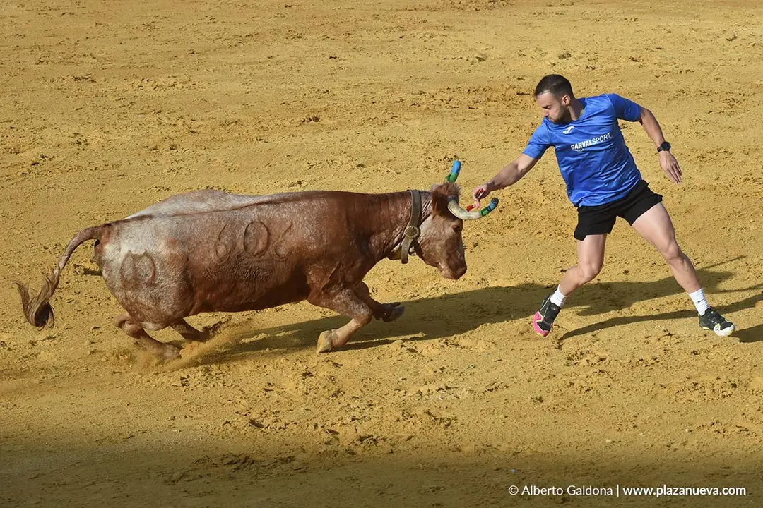 Suelta de vaquillas en Tudela d&iacute;a 27 2025 17