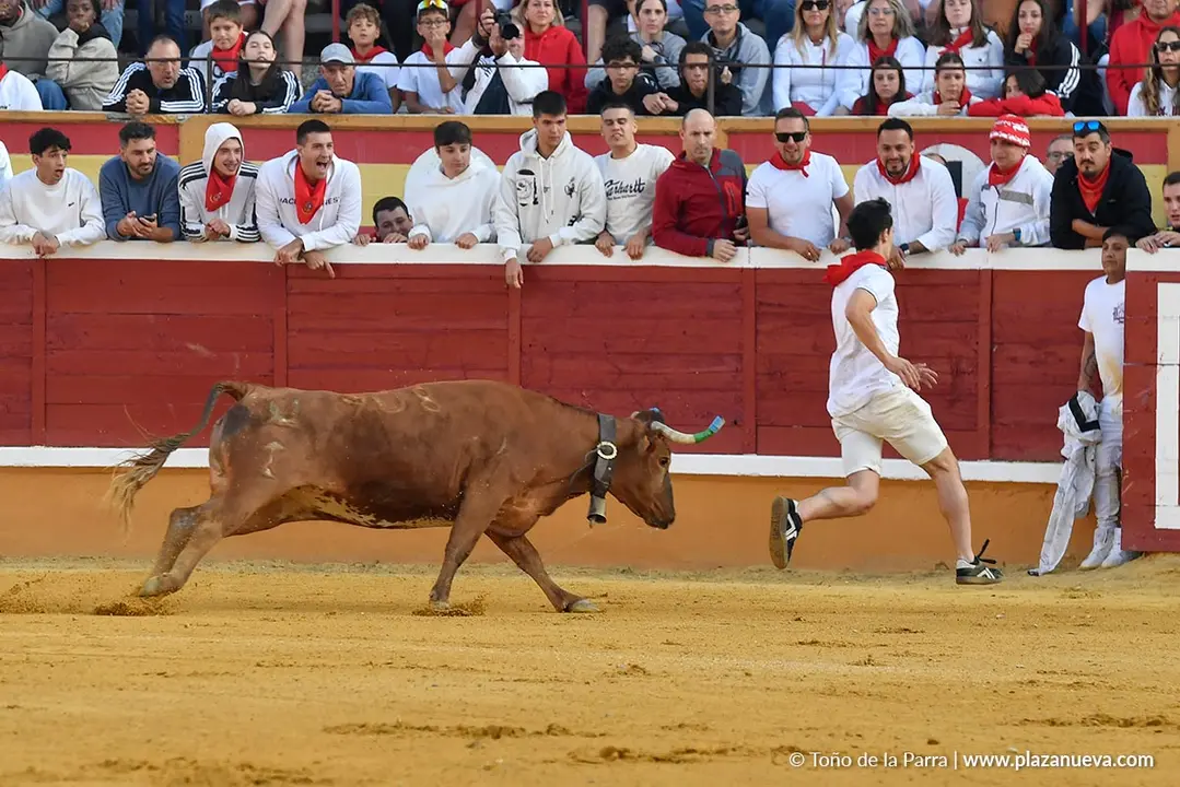 Suelta de vaquillas en Tudela d&iacute;a 27 2025 20
