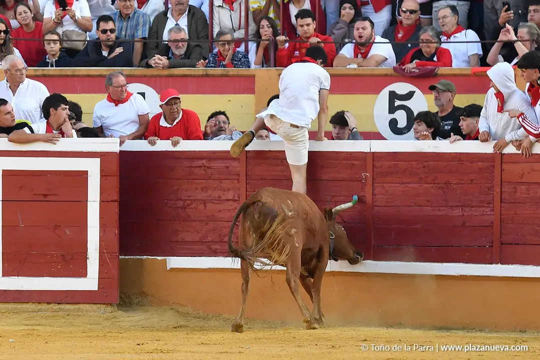 Suelta de vaquillas en Tudela d&iacute;a 27 2025 22
