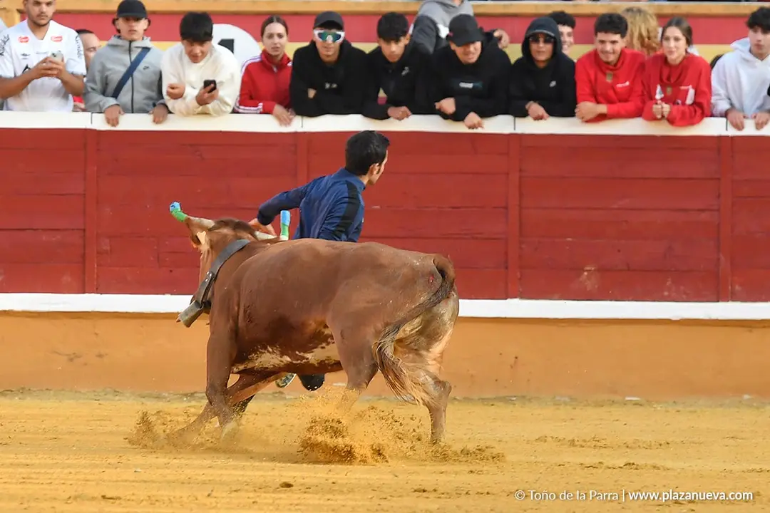 Suelta de vaquillas en Tudela d&iacute;a 27 2025 23