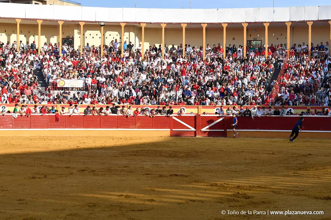 Suelta de vaquillas en Tudela d&iacute;a 27 2025 26