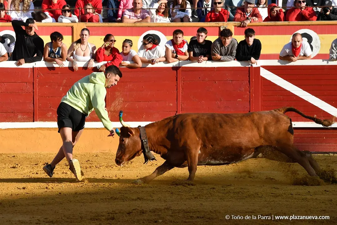 Suelta de vaquillas en Tudela d&iacute;a 27 2025 28