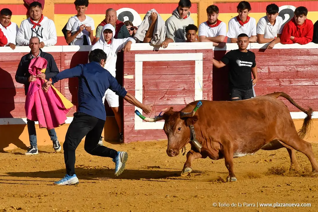 Suelta de vaquillas en Tudela d&iacute;a 27 2025 29
