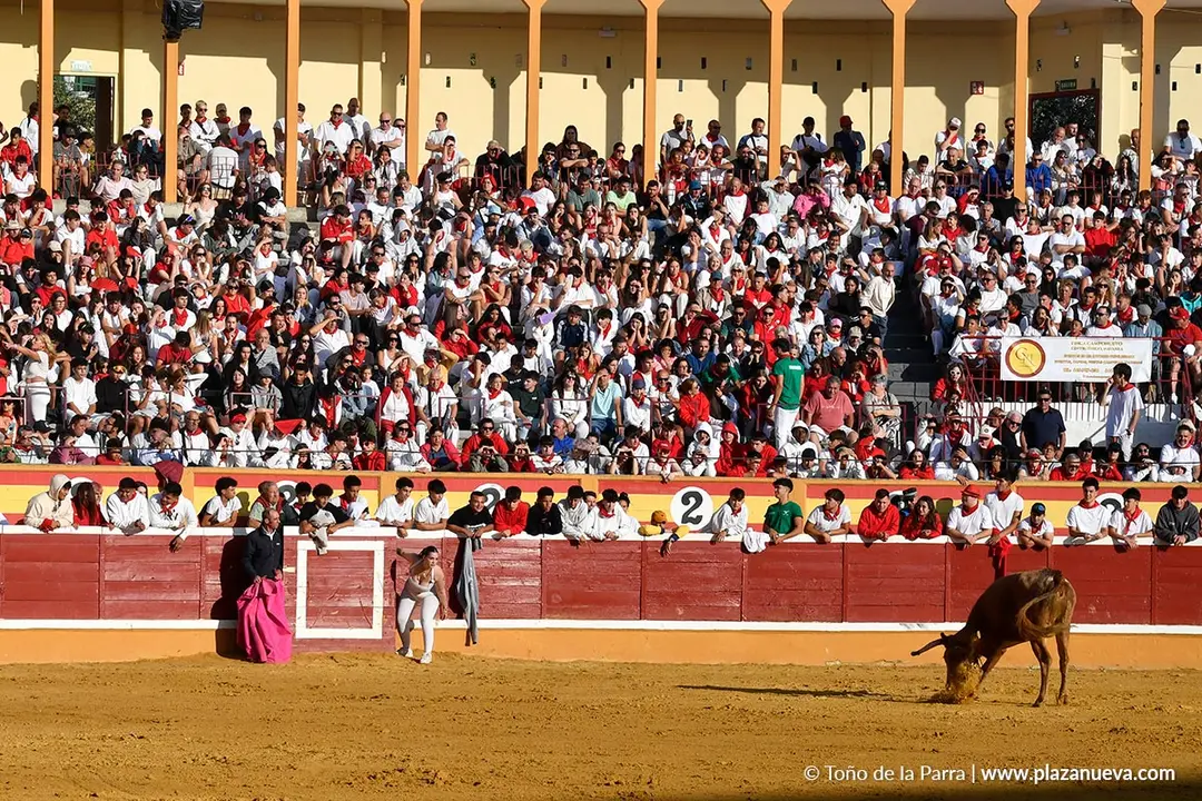Suelta de vaquillas en Tudela d&iacute;a 27 2025 33
