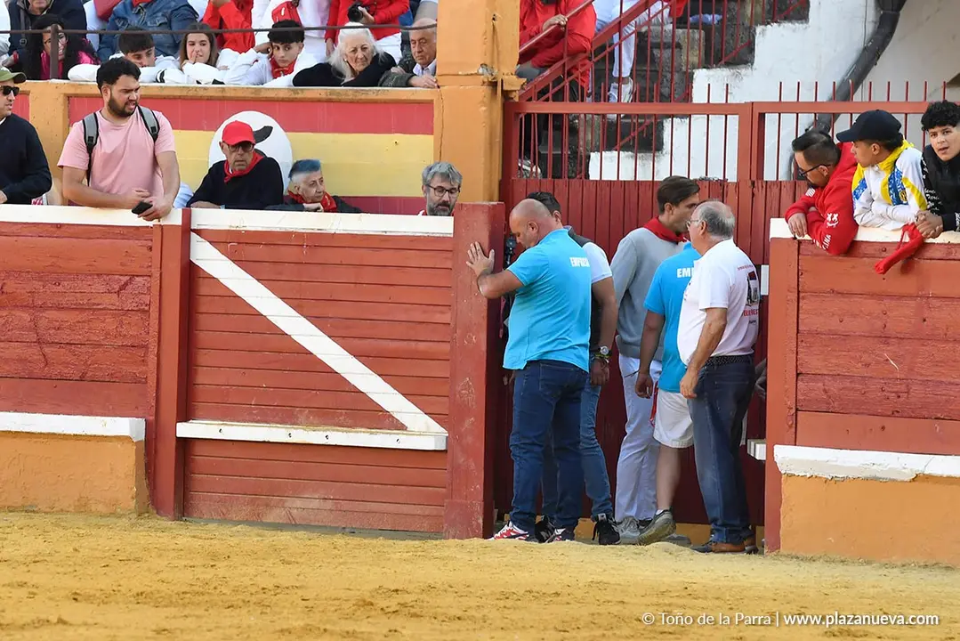 Suelta de vaquillas en Tudela d&iacute;a 27 2025 34