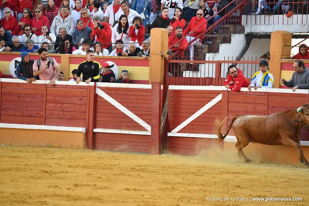 Suelta de vaquillas en Tudela d&iacute;a 27 2025 32
