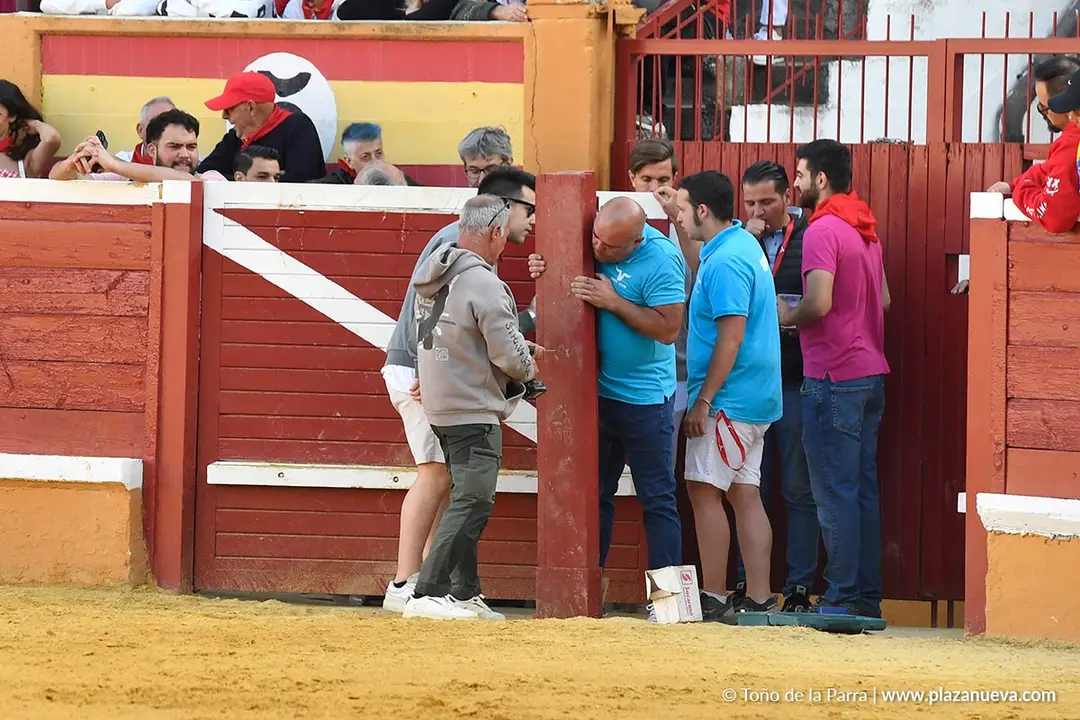 Suelta de vaquillas en Tudela d&iacute;a 27 2025 35