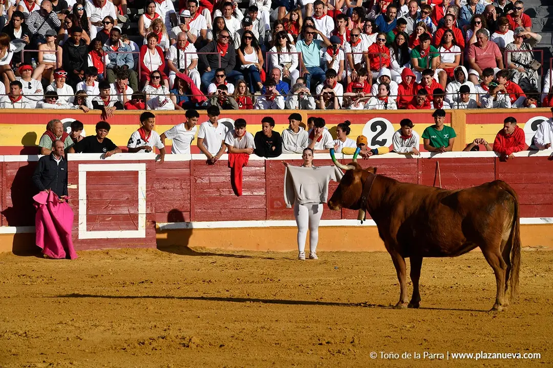 Suelta de vaquillas en Tudela d&iacute;a 27 2025 36