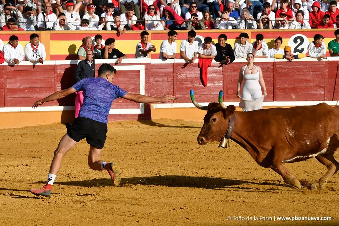 Suelta de vaquillas en Tudela d&iacute;a 27 2025 37