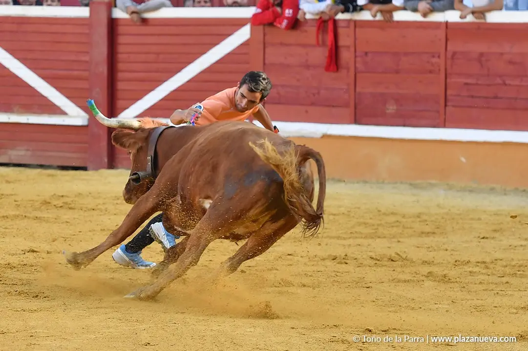 Suelta de vaquillas en Tudela d&iacute;a 27 2025 39