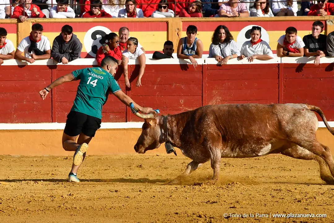 Suelta de vaquillas en Tudela d&iacute;a 27 2025 42