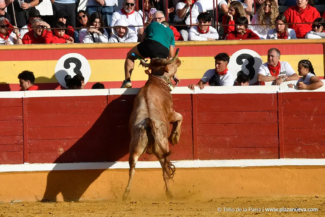 Suelta de vaquillas en Tudela d&iacute;a 27 2025 43
