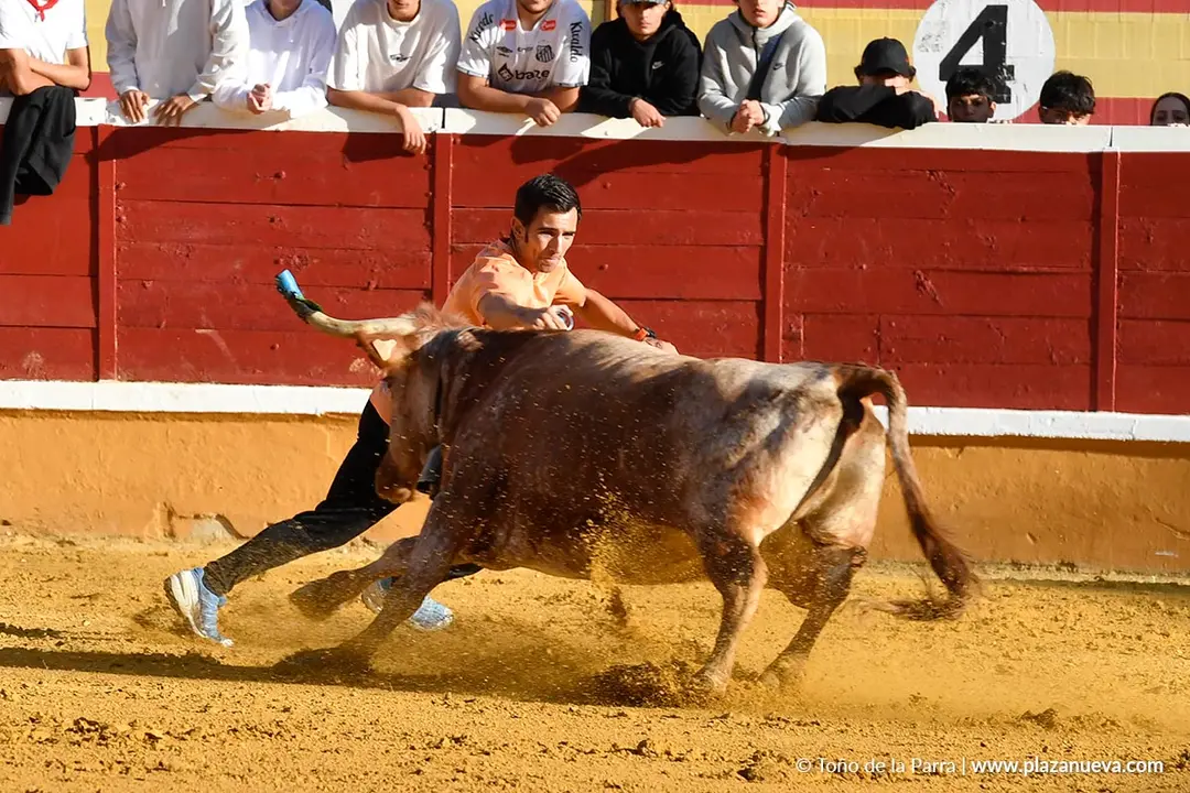 Suelta de vaquillas en Tudela d&iacute;a 27 2025 41