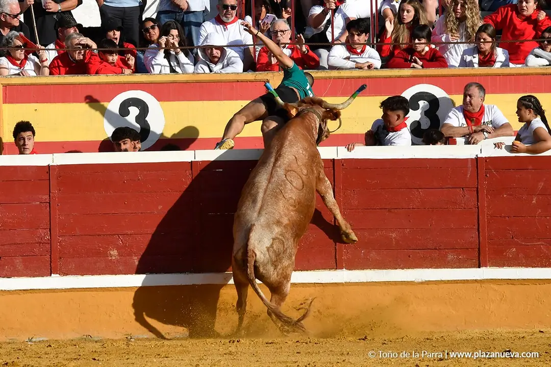 Suelta de vaquillas en Tudela d&iacute;a 27 2025 44