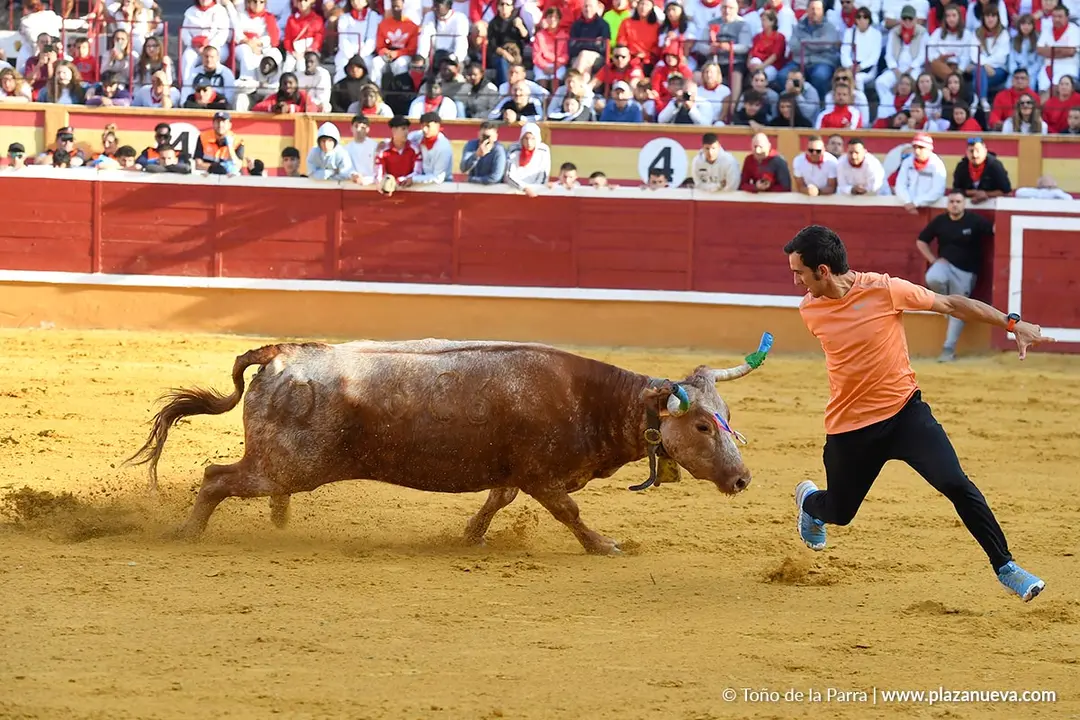 Suelta de vaquillas en Tudela d&iacute;a 27 2025 46