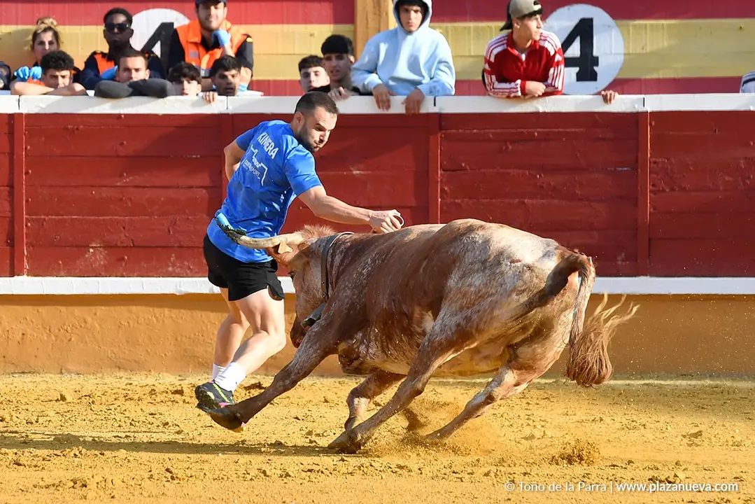Suelta de vaquillas en Tudela d&iacute;a 27 2025 47