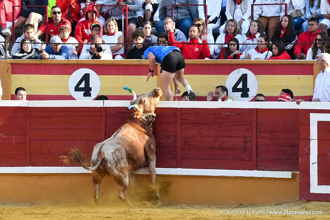Suelta de vaquillas en Tudela d&iacute;a 27 2025 48