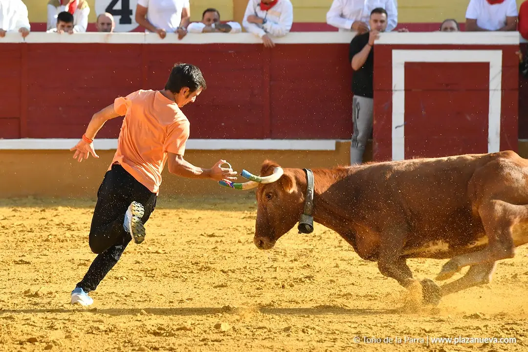 Suelta de vaquillas en Tudela d&iacute;a 27 2025 49
