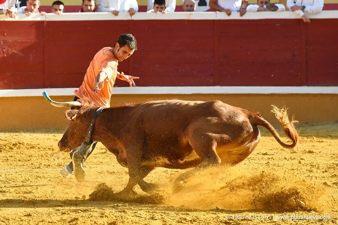 Suelta de vaquillas en Tudela d&iacute;a 27 2025 50