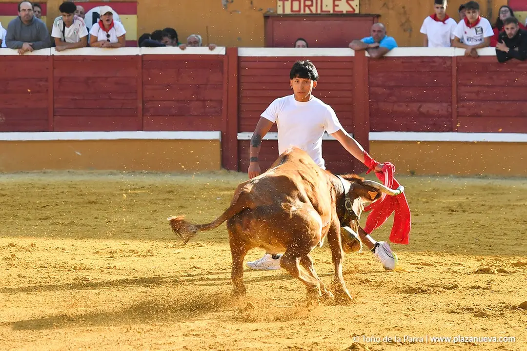 Suelta de vaquillas en Tudela d&iacute;a 27 2025 51