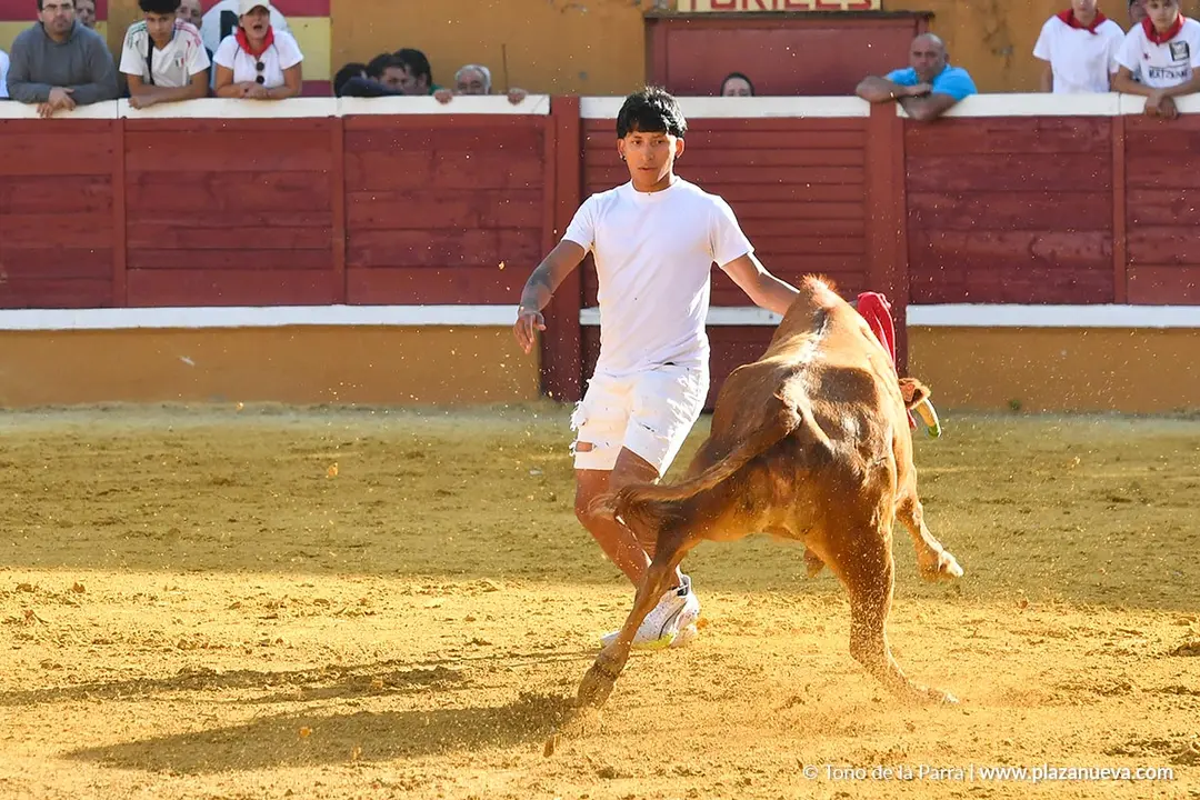 Suelta de vaquillas en Tudela d&iacute;a 27 2025 52