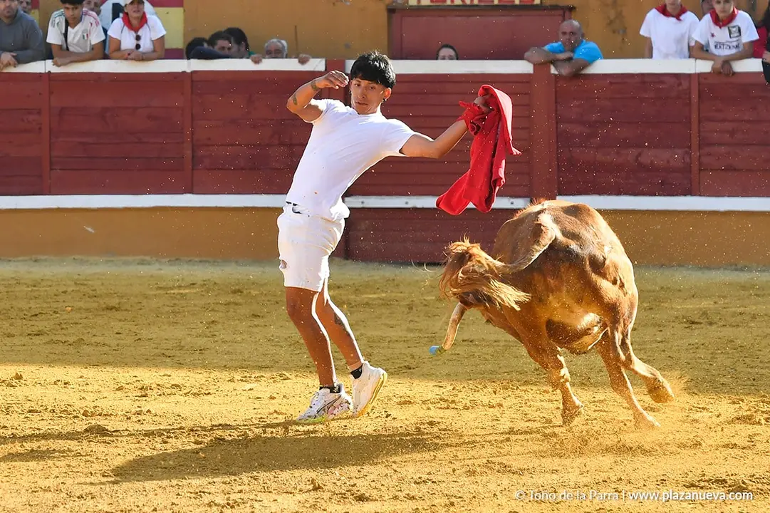 Suelta de vaquillas en Tudela d&iacute;a 27 2025 53