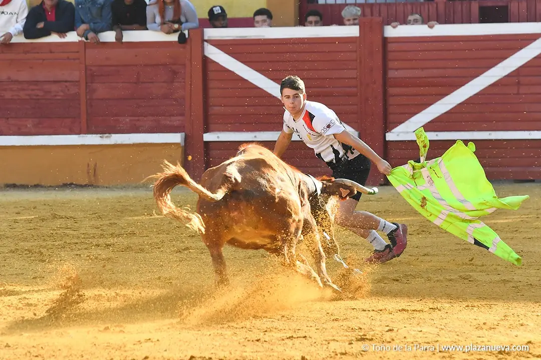 Suelta de vaquillas en Tudela d&iacute;a 27 2025 54