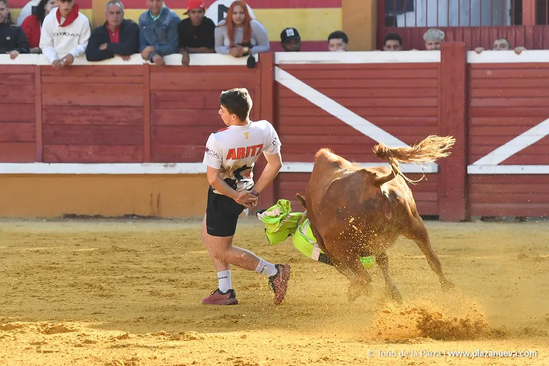 Suelta de vaquillas en Tudela d&iacute;a 27 2025 55