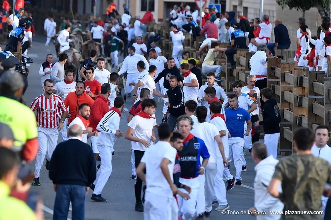 Encierro de Tudela d&iacute;a 28 2025 5