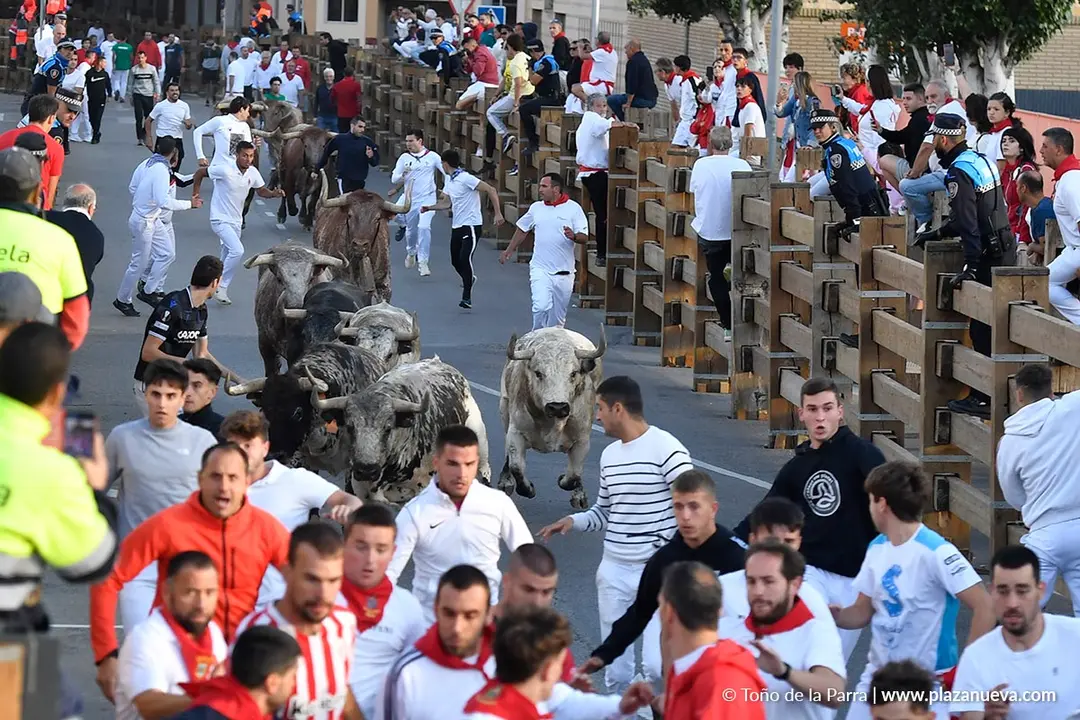 Encierro de Tudela d&iacute;a 28 2025 13