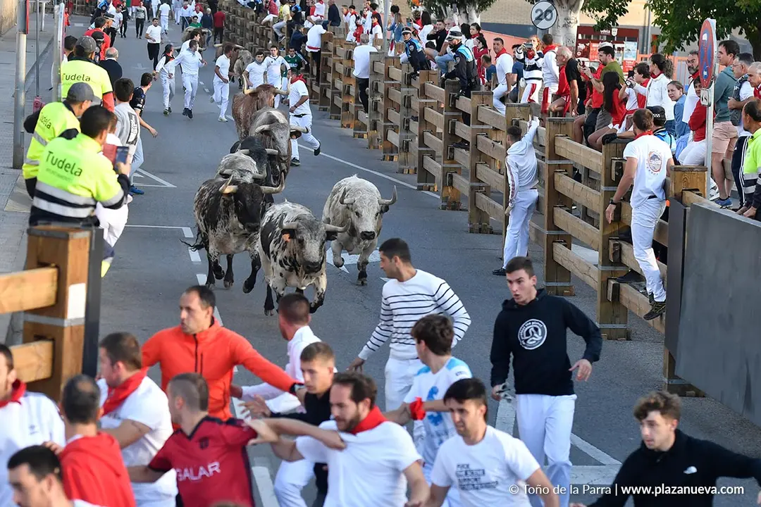 Encierro de Tudela d&iacute;a 28 2025 15