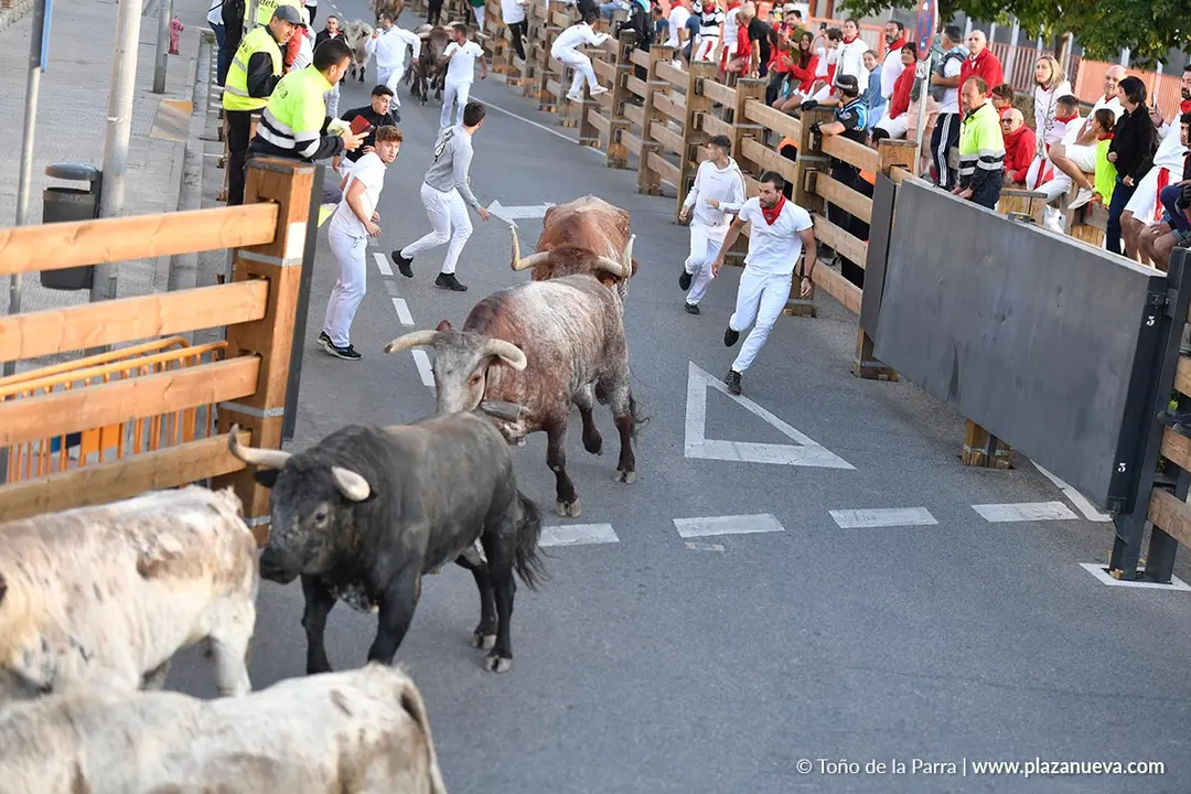 Encierro de Tudela d&iacute;a 28 2025 18