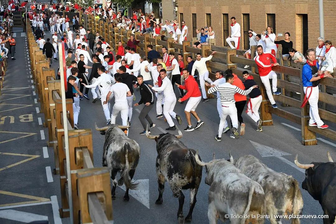 Encierro de Tudela d&iacute;a 28 2025 19