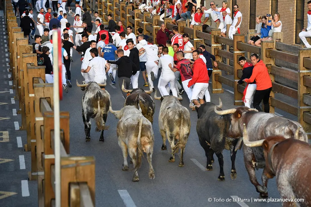 Encierro de Tudela d&iacute;a 28 2025 20