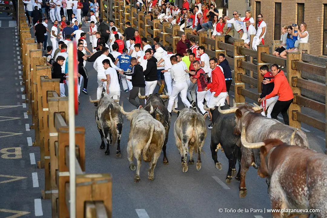 Encierro de Tudela d&iacute;a 28 2025 21