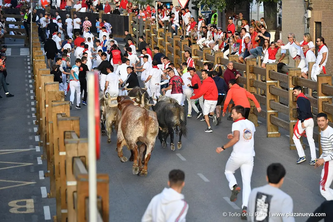Encierro de Tudela d&iacute;a 28 2025 22