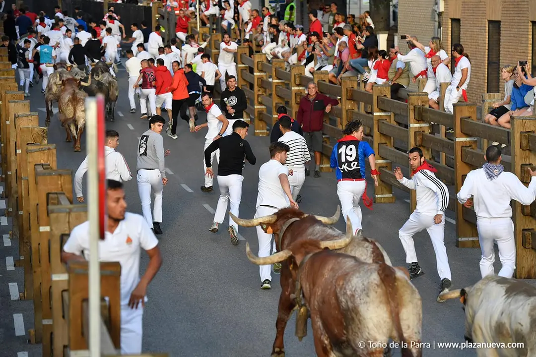 Encierro de Tudela d&iacute;a 28 2025 24