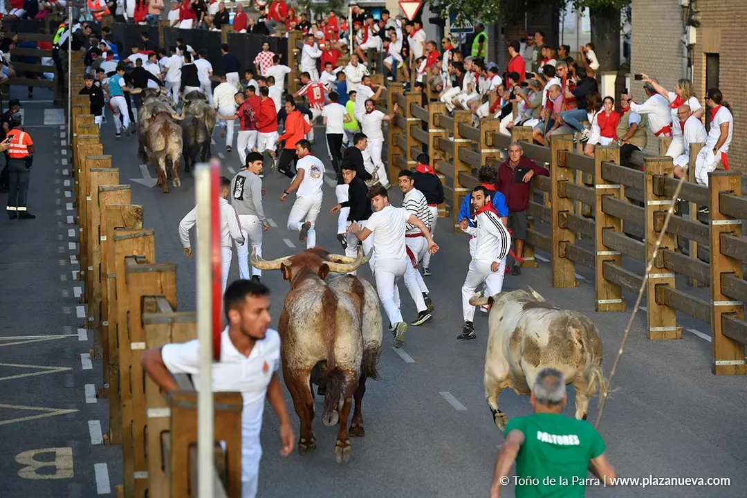 Encierro de Tudela d&iacute;a 28 2025 25