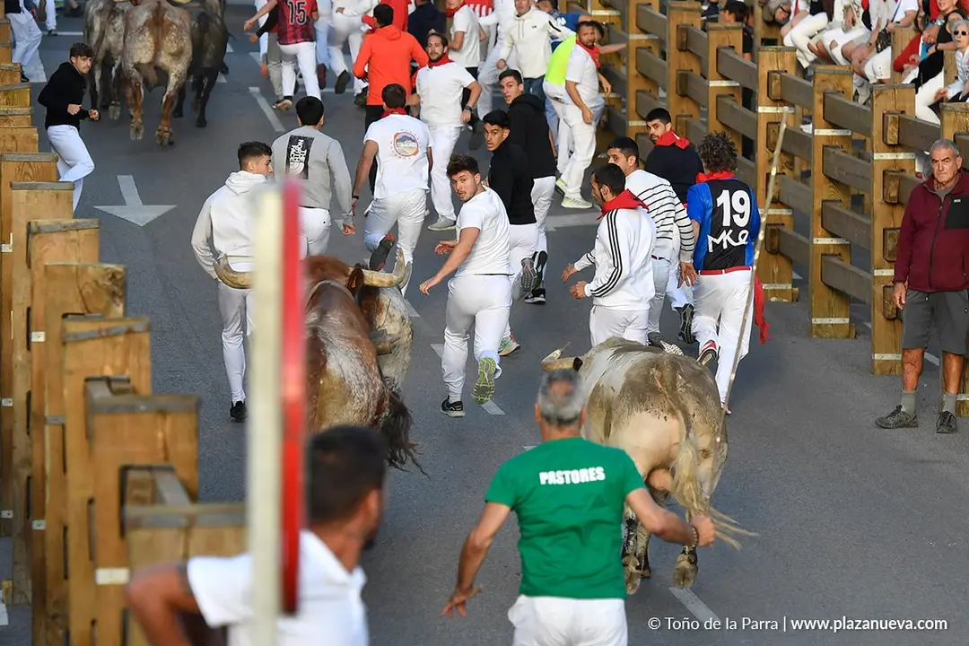Encierro de Tudela d&iacute;a 28 2025 26